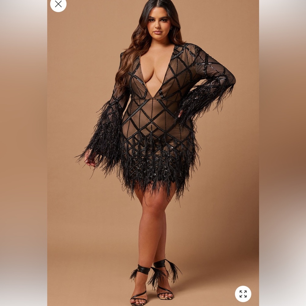 Fashion Nova Black Feathered Mini Dress